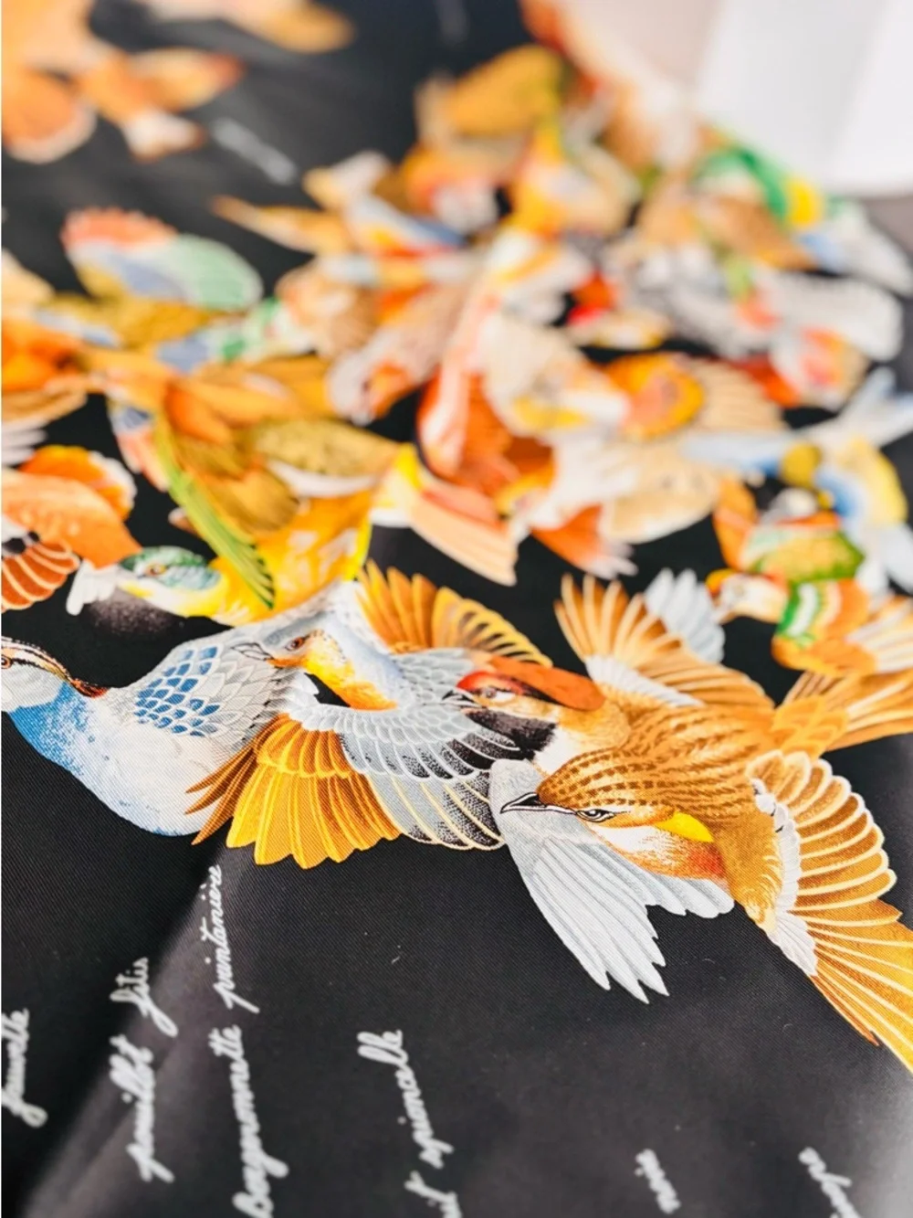 Hermès L'Intrus Silk Carré 90 Bird Scarf